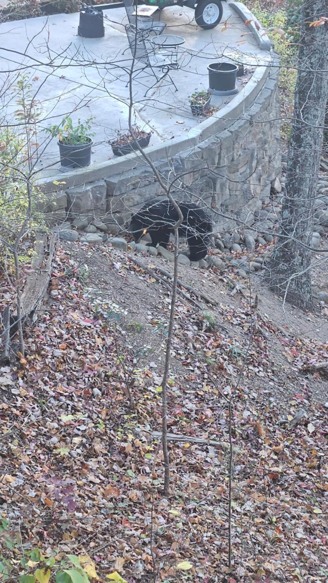 Southern Oak At Chalet Village - 5 Minutes From Gatlinburg And National Park Екстер'єр фото